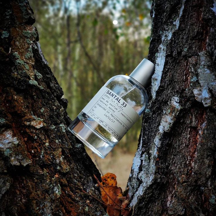 Santal 33 EDP