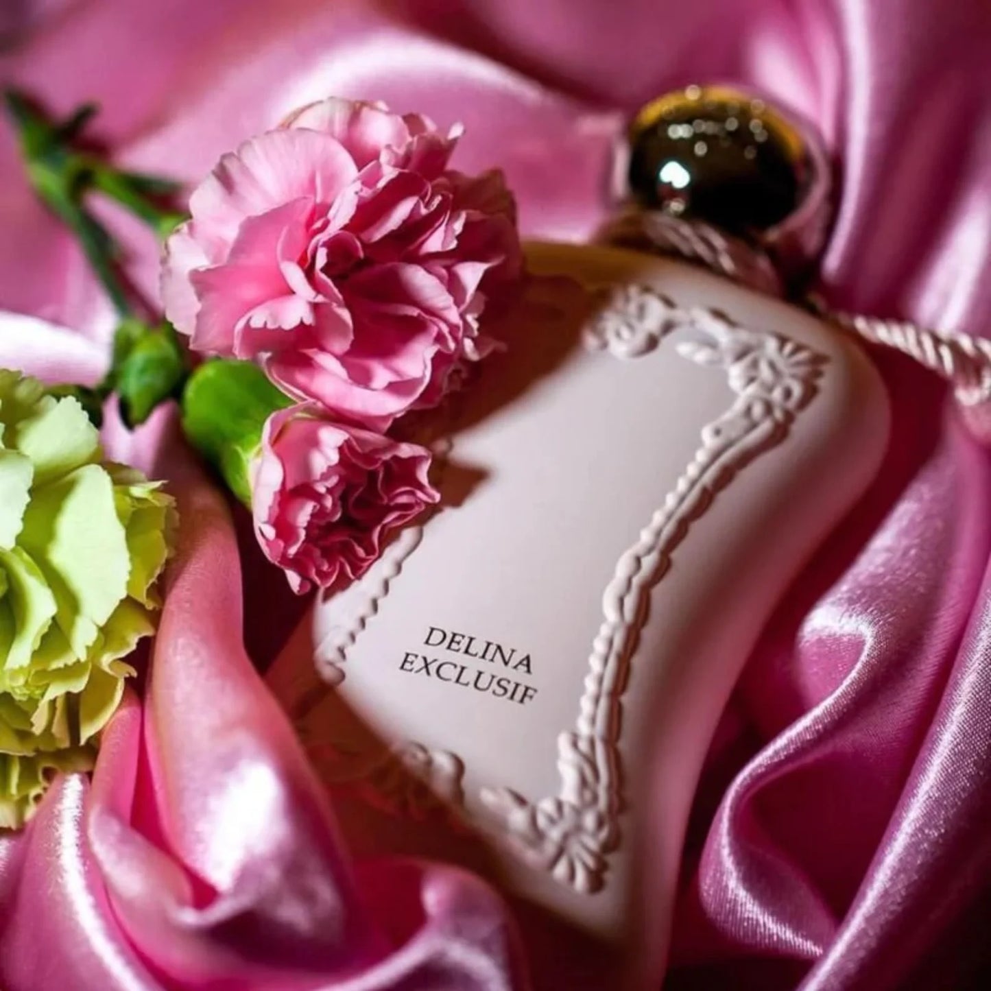 Delina EDP