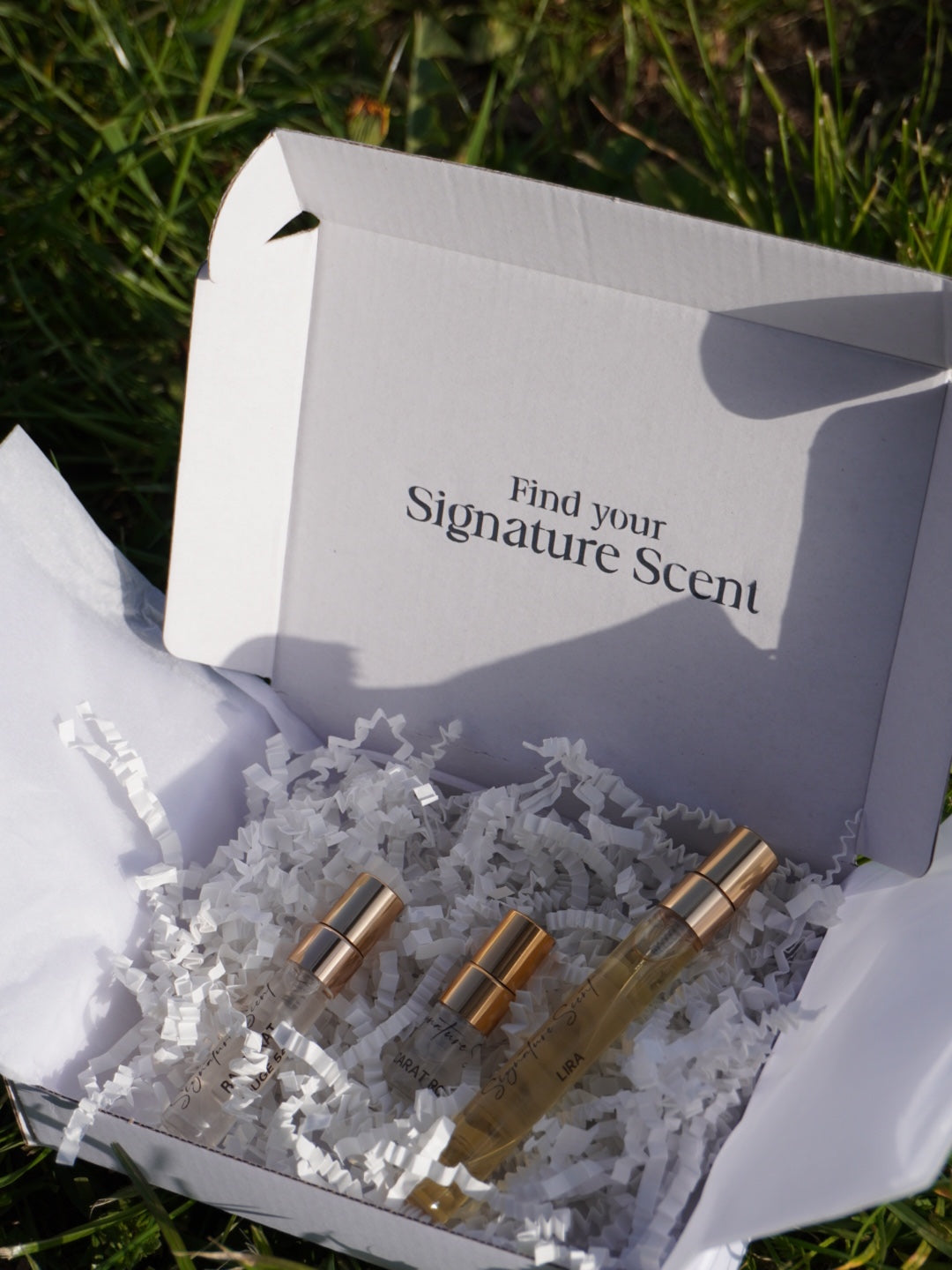 Discovery Box AUGUST