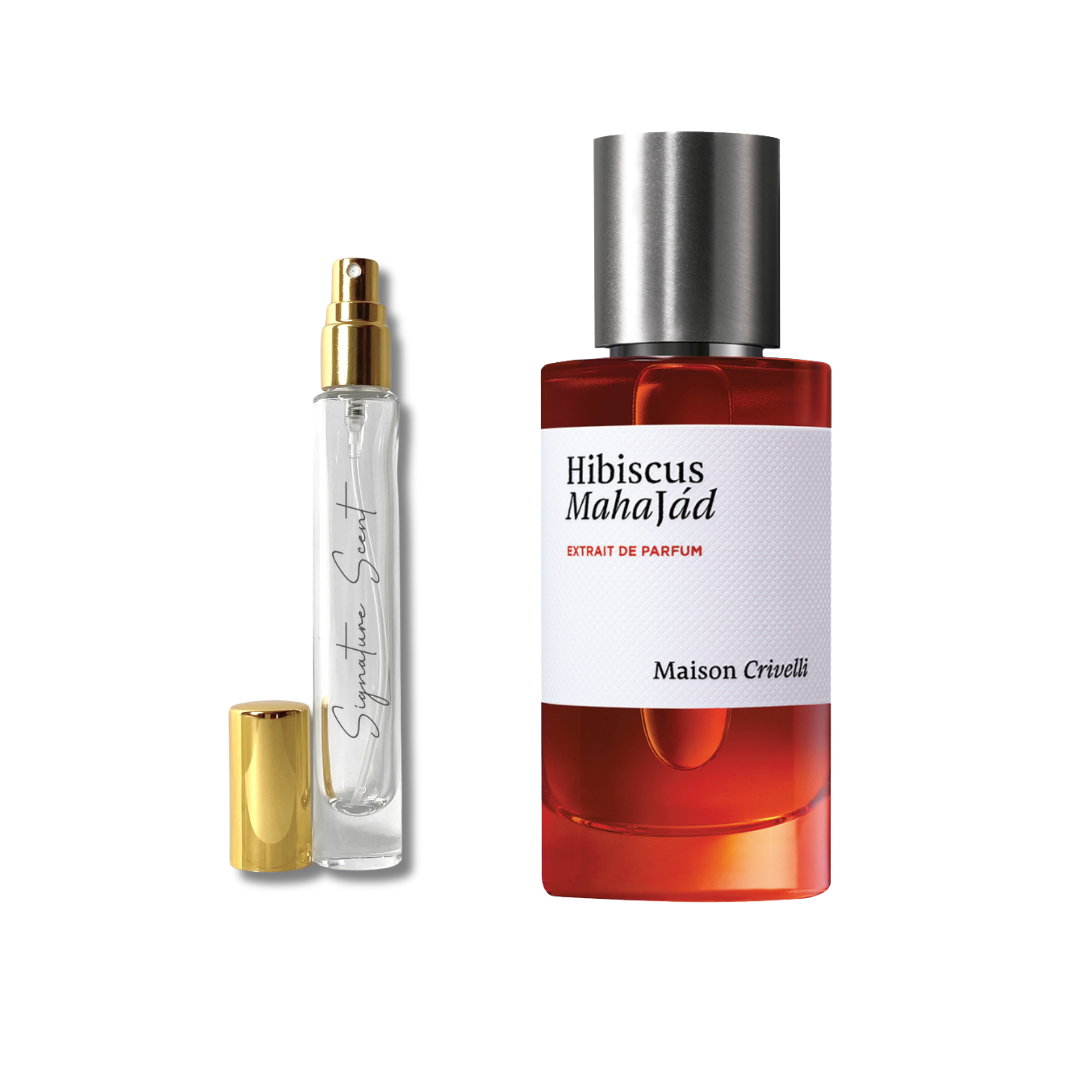 Discovery Box NOIEMBRIE